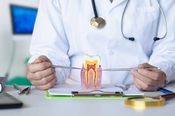 Best Emergency Dental Filling Replacement  in Grand Coulee, WA